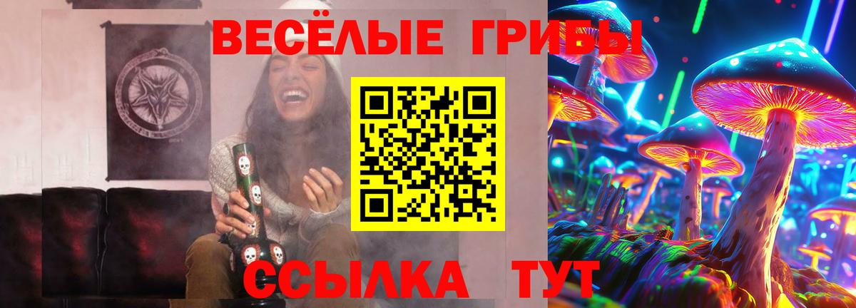 Псилоцибиновые грибы MAGIC MUSHROOMS Дедовск