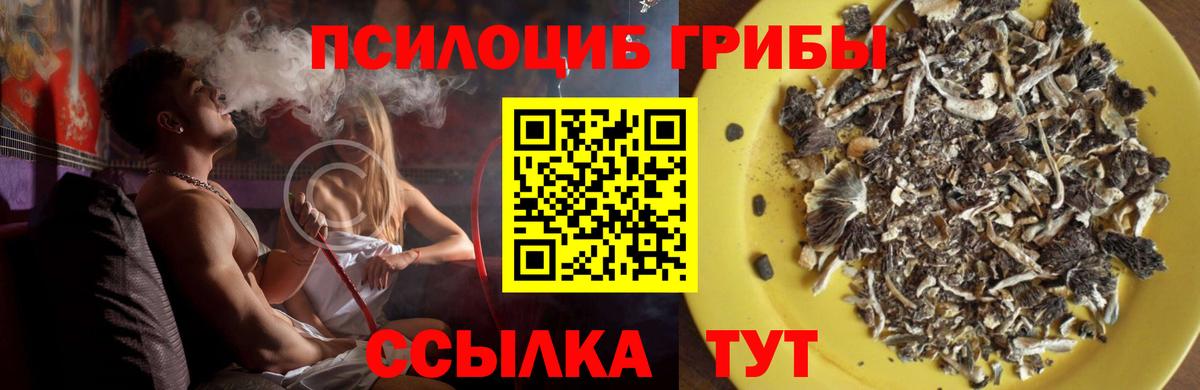 Псилоцибиновые грибы Psilocybe  Галлюциногенные грибы ЛСД  Вход с VPN  Дедовск 